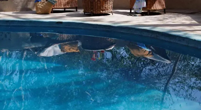 Kenyaways, Book Hotel Hotels in Kwale with a Pool, Swimming Pool