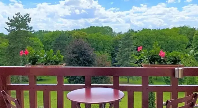Двухместный номер Standard с видом на парк Le Château de la Tour
