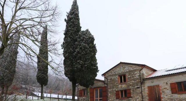 Номер Standard Agriturismo Villaggio Eden