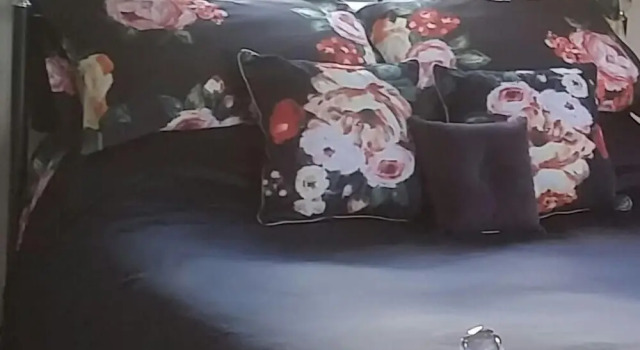 Номер Luxury Pantysgyfarnog