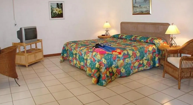 Студия с видом на сад Aruba Beach Villas