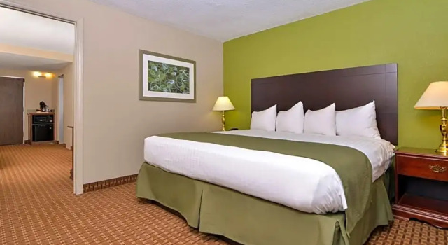 Одноместный люкс Best Western Raleigh North-Downtown