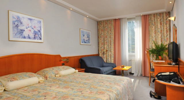 Двухместный номер Standard Hotel Krka - Terme Krka