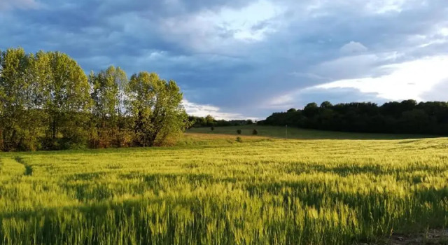 Номер Standard Agriturismo con Cucina tipica Nuova Scardua