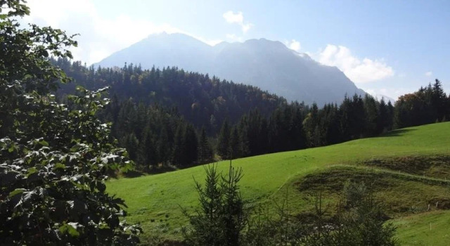 Haus Sarsteinblick, Prenota Hotel Altaussee 