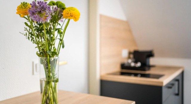 Servus Apartments by Homaris