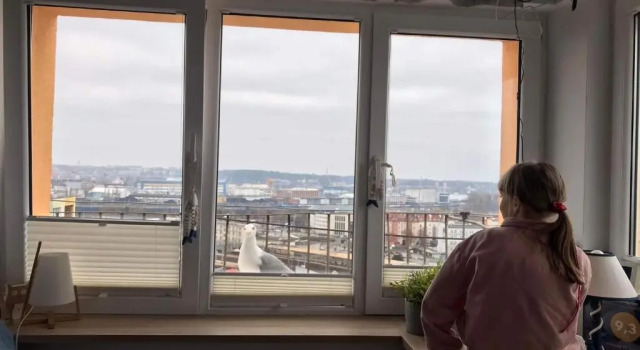 Апартаменты Warszawska 15 Apartament