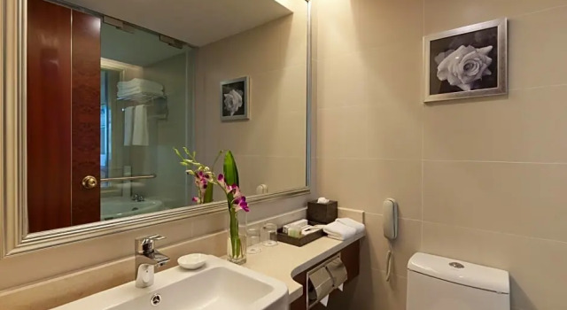 Двухместный номер Standard Times Plaza Shenyang