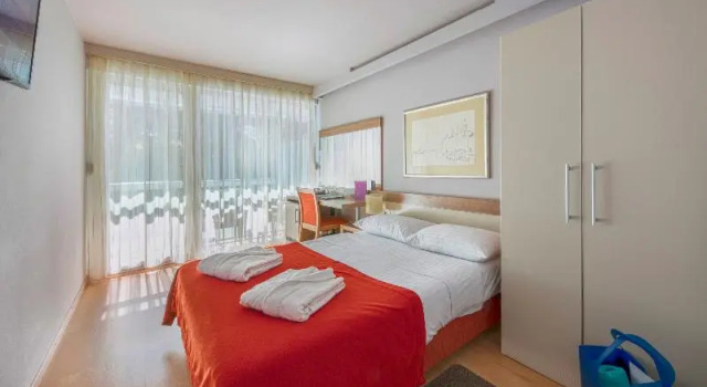 Двухместный номер Standard с балконом и с видом на парк Hotel Aurora