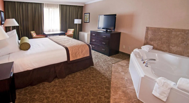 Двухместный номер Standard Wyndham Minneapolis South Burnsville