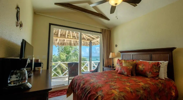 Номер Standard The Palapa House