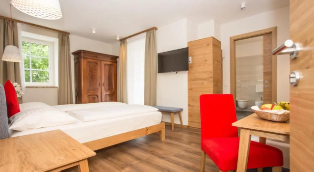 Двухместный номер Deluxe Hotel Elefant