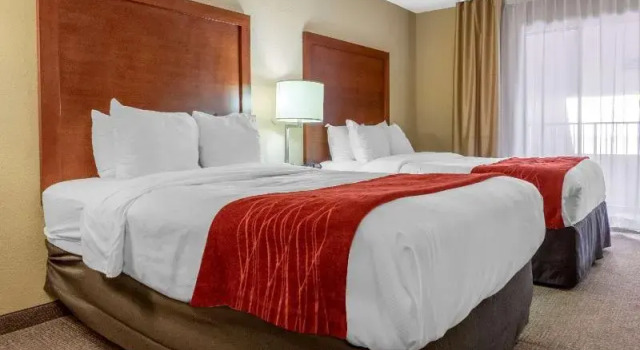 Четырёхместный номер Standard Comfort Inn Albuquerque Airport