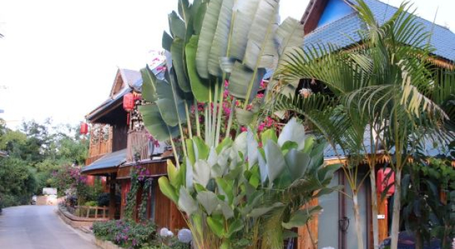 Cloud Courtyard B&B (Manhona Natural Village)