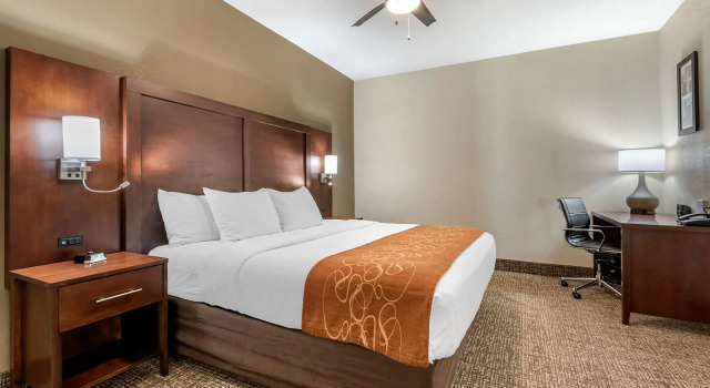 Четырёхместный номер Standard Comfort Suites Auburn near I-69