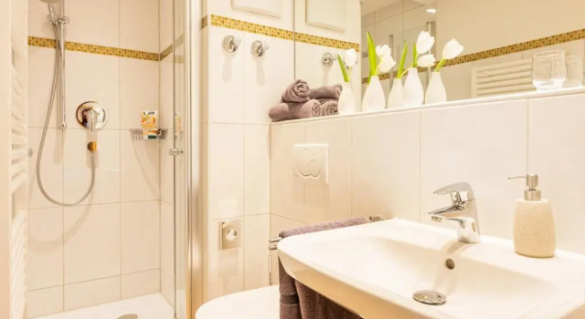 Номер Standard Aparthotel Weinklause Superior