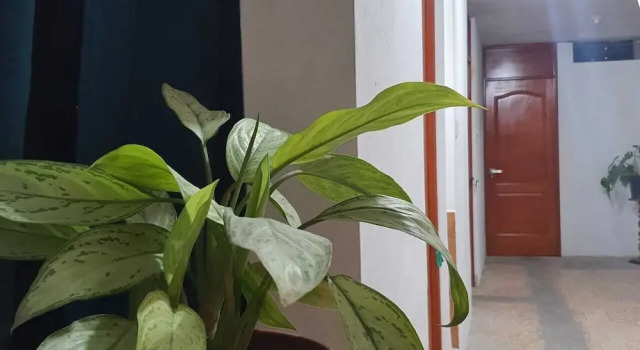 Трёхместный номер Standard с балконом Lima Airport Hostel