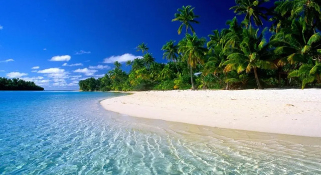 Chill Spot