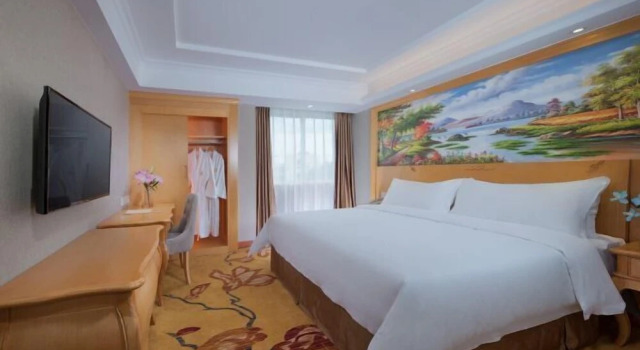Vienna 3 Best Hotel (Yangchun Bus Station)