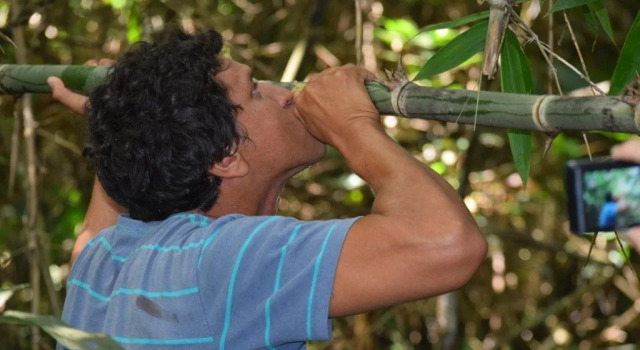 Green House Tambopata, Забронировать Отель Пуэрто Мальдонадо Madre de Dios