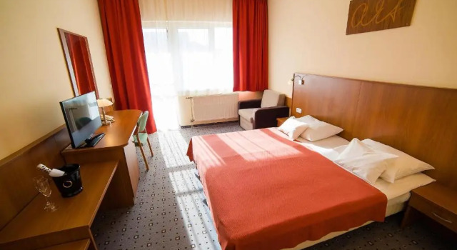 Двухместный номер Standard Art Hotel superior