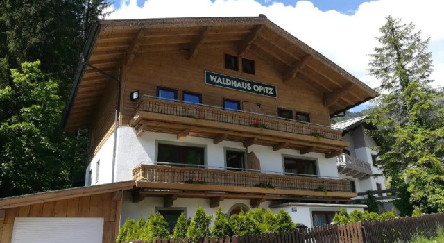 Номер Standard Apartment Waldhaus Opitz