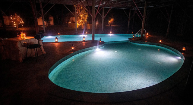 Tadoba Jungle Camp, Book Hotel Hotels in Maharashtra with a Pool, Swimming Pool