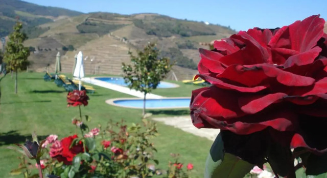 Двухместный номер Standard Hotel Rural da Quinta do Silval