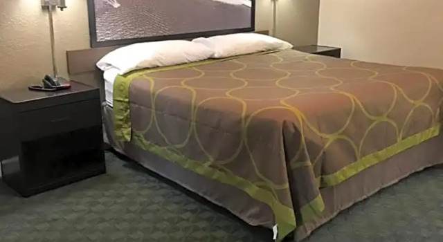 Номер Standard Super 8 by Wyndham Taylorville IL