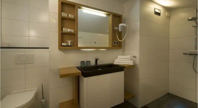 Двухместный номер Standard Цокольный этаж Villa Valkenburg