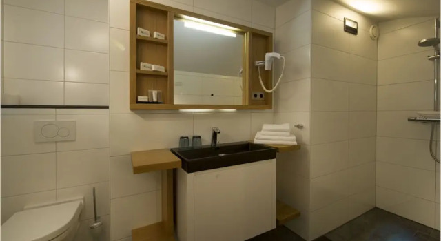 Двухместный номер Standard Цокольный этаж Villa Valkenburg