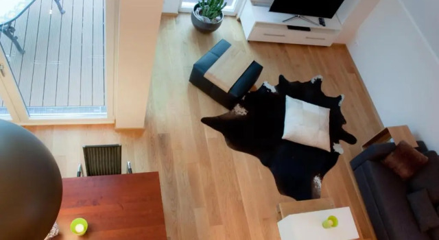 Номер Premium Apartments Boardinghaus Norderney