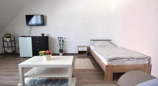 Апартаменты Дуплекс Central Apartment Troisdorf