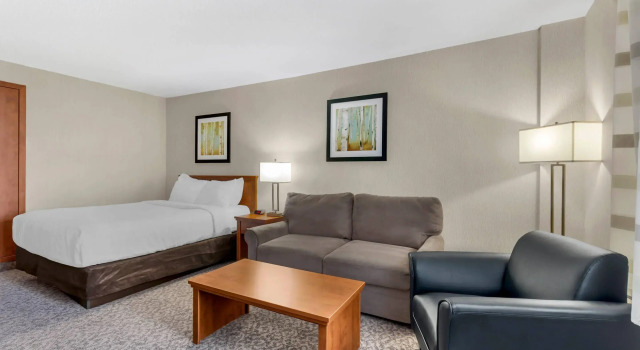 Двухместный номер Standard Clarion Hotel & Suites