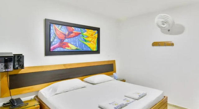 Двухместный номер Standard Hotel Monarca