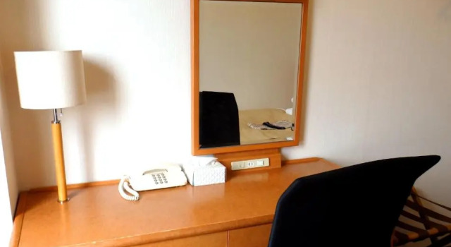 Одноместный номер Superior Hotel New Tanaka