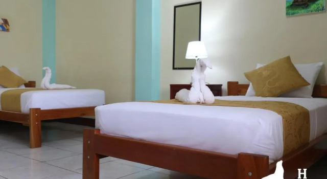 Двухместный номер Standard Hostal Arena Negra