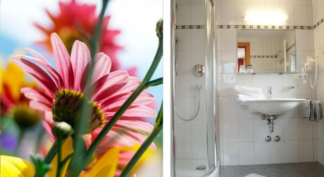 Номер Standard Pension Apartment Erna