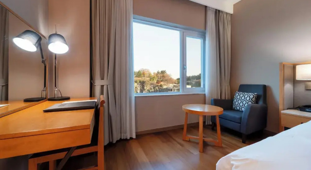 Camera doppia Standard Hotel Interburgo Daegu