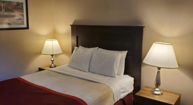 Одноместный номер Deluxe Bellis Inn