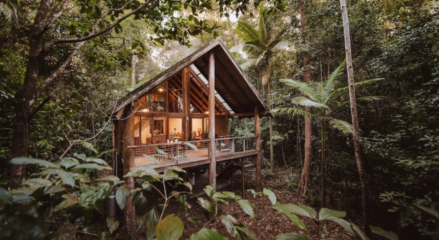 Коттедж Deluxe The Canopy Rainforest Treehouses & Wildlife Sanctuary