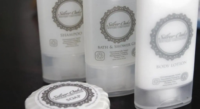 Номер Economy Silver Oaks Boutique Hotel