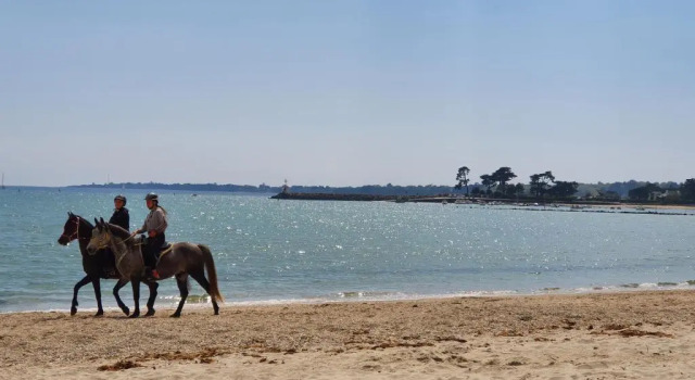 Студия Vacances Ô Loch - Studio à 200 mètres de la plage - Le Cap Coz Fouesnant