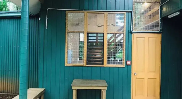 Вилла Standard Rainforest Eco Lodge