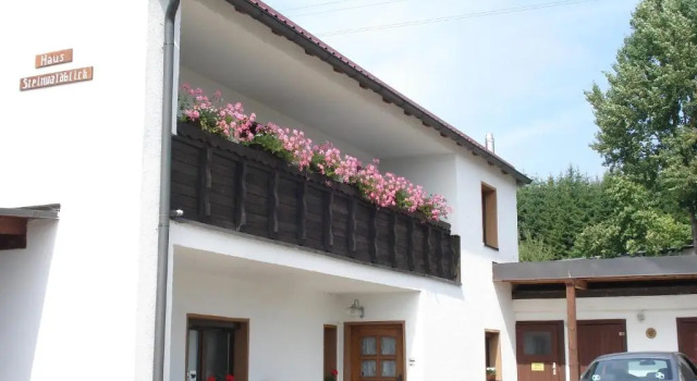 Апартаменты Haus Steinwaldblick
