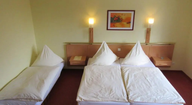 Трёхместный номер Standard Hotel Rose - Gratis Parken