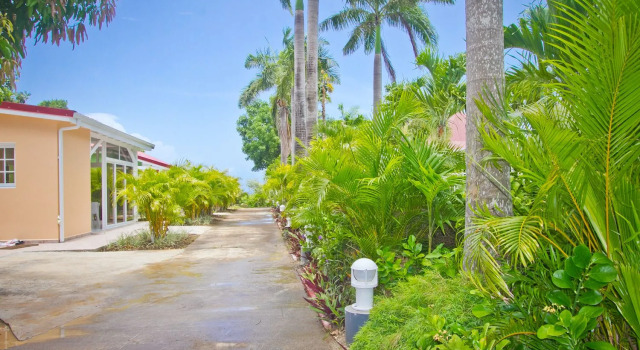 Hotel Oasis
