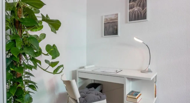 Апартаменты Apartments an der Universität
