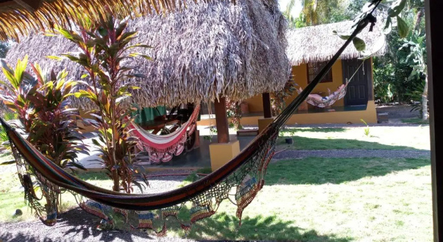 Номер Standard Hotel Las Hamacas