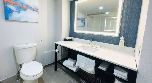 Номер Premier La Quinta by Wyndham Birmingham Homewood